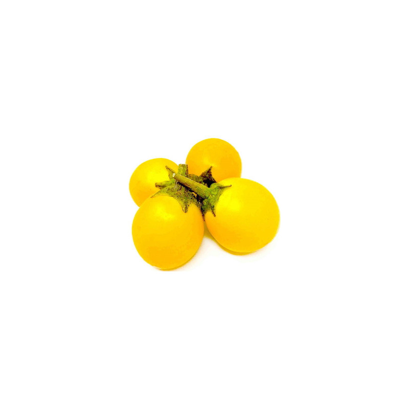 Yellow eggplant - มะเขือเหลือง 200g