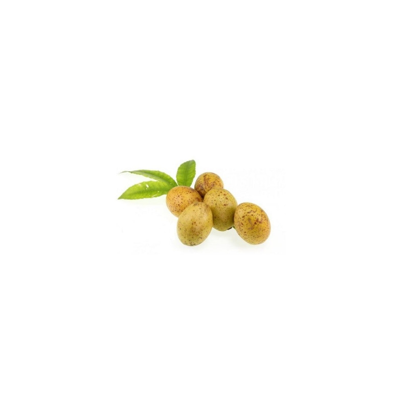 Ma kok lao - มะกอกลาว 100g