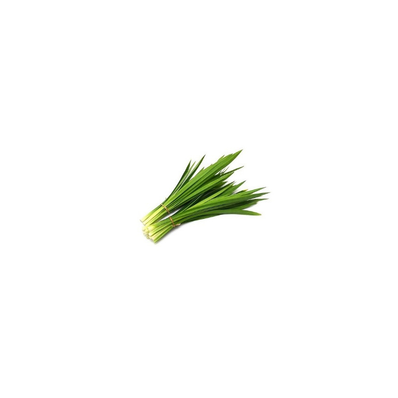 Pandan leaf - ใบเตย 100g