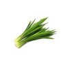 Pandan leaf - ใบเตย 100g