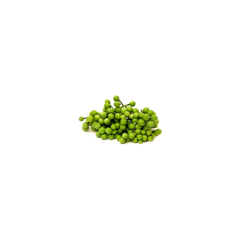Pea aubergine - มะเขือพวง 100g