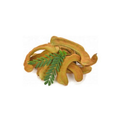 Young tamarind - มะขามอ่อน 1kg