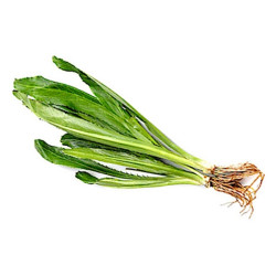 Thai parsley - ผักชีฝรั่ง 100g