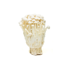 Enoki mushroom - เห็ดเข็มทอง100g