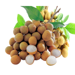 Longan - ลำใย 500g