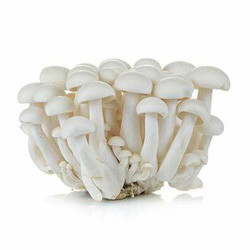 White shi-me-ji mushroom 125g