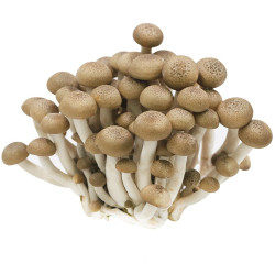 Brown shi-me-ji mushroom 125g