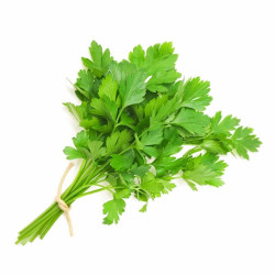 Chinese celery - คื่นช่าย 100g