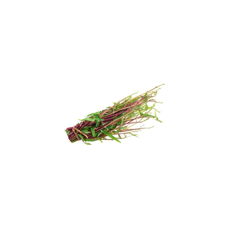 Red morning glory - ผักบุ้งแดง 200g