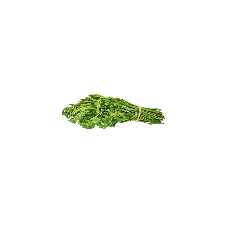 Kra tin leaf - ยอดกระถิน 100g