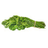 Kra tin leaf - ยอดกระถิน 100g