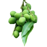 Baby small mango - มะม่วงเบา 500g