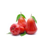 Rose apple - ชมพู่ 500g
