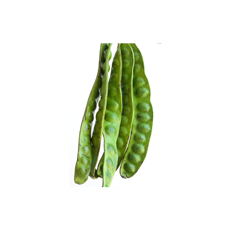 Unpeeled sator bean - สะตอฝัก 1kg