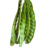 Unpeeled sator bean - สะตอฝัก 1kg