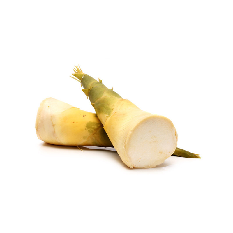 Fresh bamboo shoot หน่อไม้ไผ่ตง 3kg